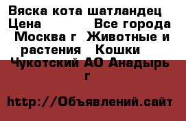 Вяска кота шатландец › Цена ­ 1 000 - Все города, Москва г. Животные и растения » Кошки   . Чукотский АО,Анадырь г.